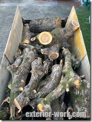 初日のぶつ切り量 IMG_6006