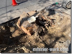 大きな根をぶち切ったのですが、びくともしません。。(*_*; IMG_6017