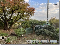 下草の大量のササに苦戦。。 IMG_6188